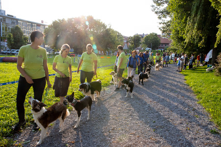 Pasji športni dan_6. 8. 2025 (4)